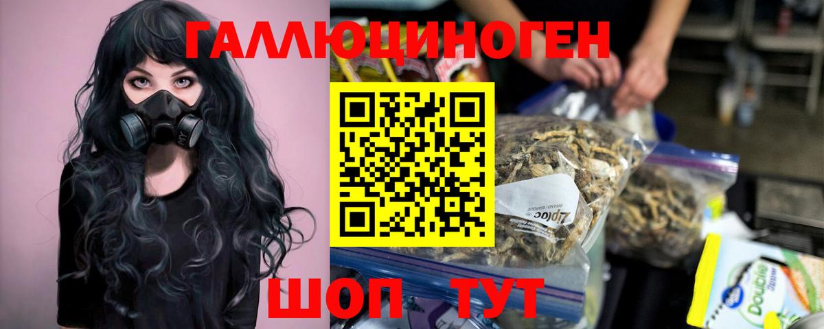 Псилоцибиновые грибы ЛСД  Вход с VPN  Верхняя Пышма 